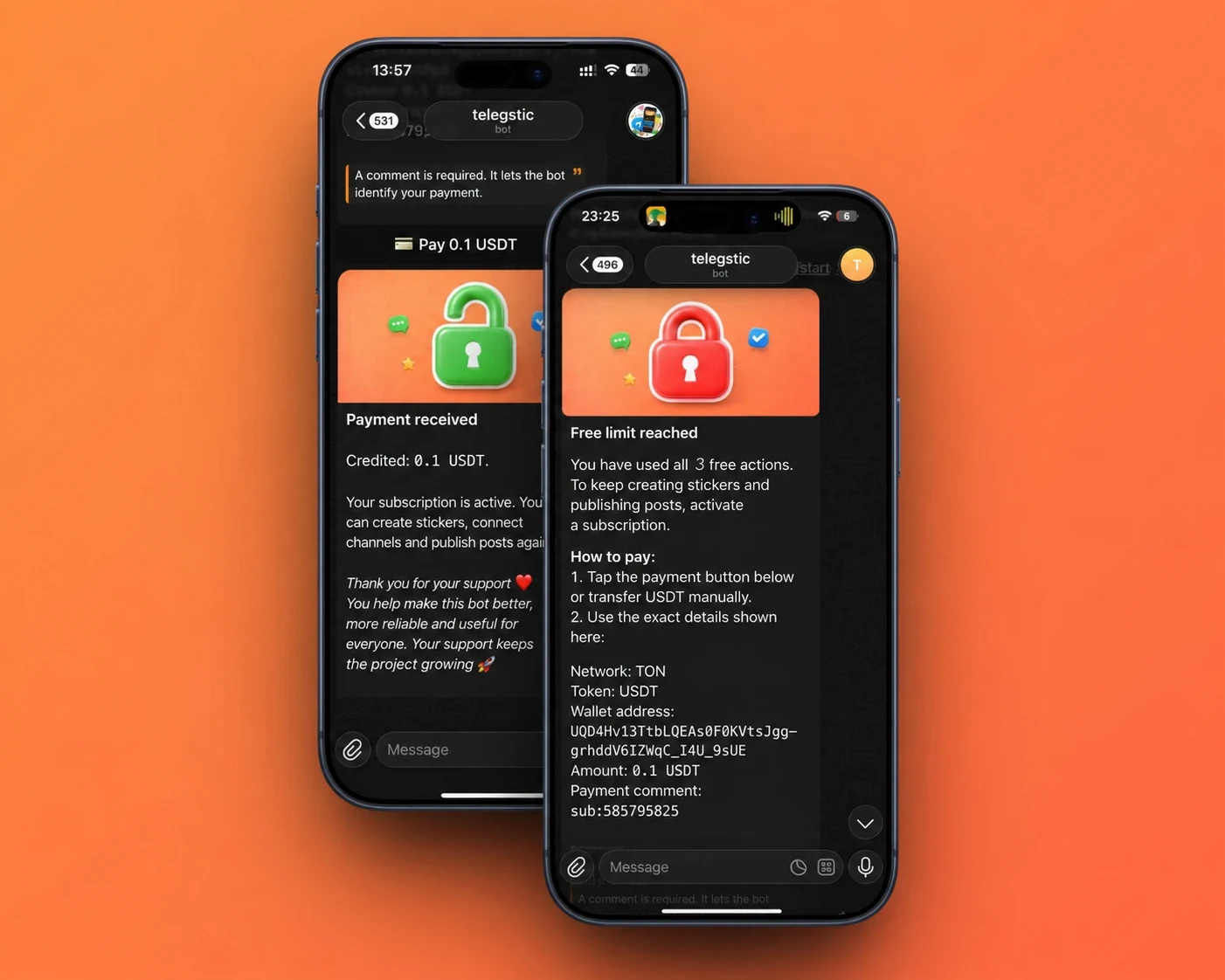 Subscription payment details — English interface